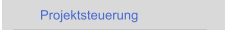Projektsteuerung