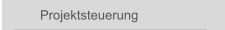 Projektsteuerung